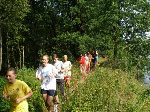 Koťátka nikdo nešetřil.