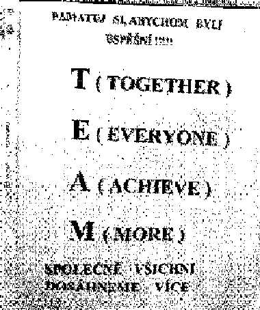 T.E.A.M. SPIRIT